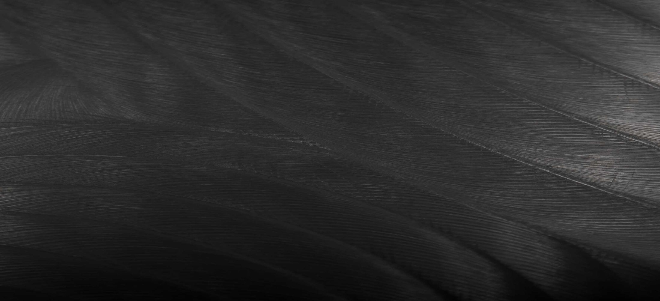 Black background texture.